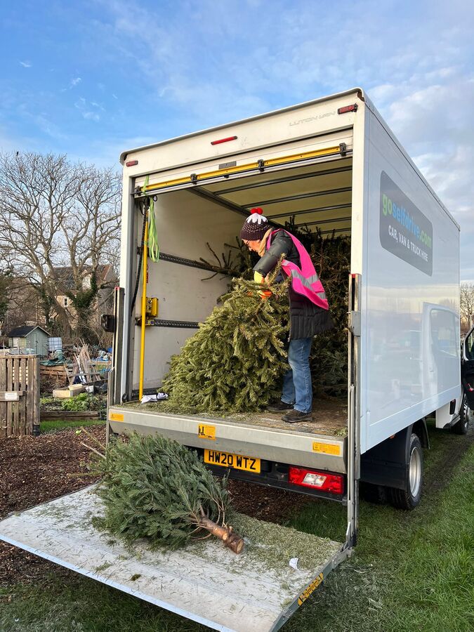 Unloading Christmas Trees